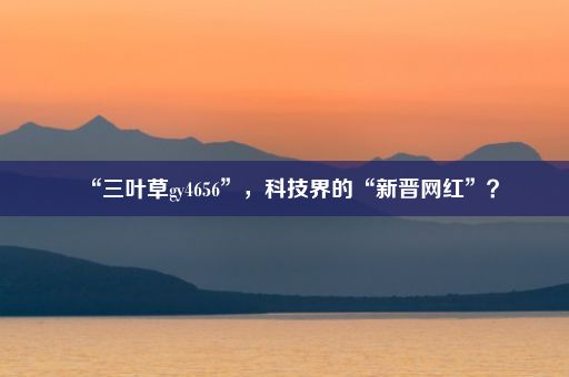 “三叶草gy4656”，科技界的“新晋网红”？