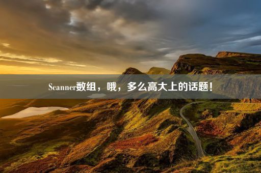 Scanner数组，哦，多么高大上的话题！