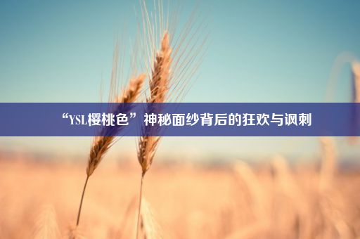 “YSL樱桃色”神秘面纱背后的狂欢与讽刺