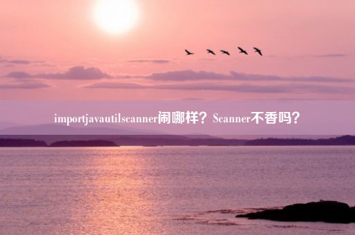 importjavautilscanner闹哪样？Scanner不香吗？