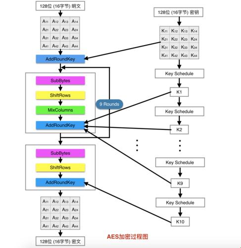 妙手偶得AES加密，解锁数据宝藏的神秘面纱