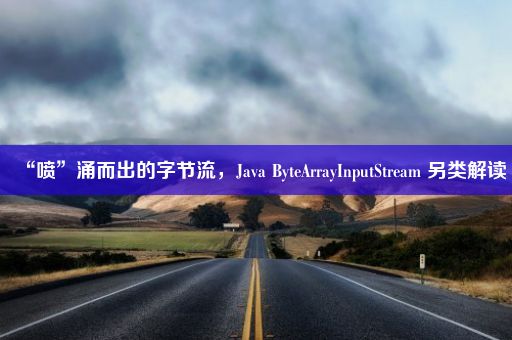 “喷”涌而出的字节流，Java ByteArrayInputStream 另类解读