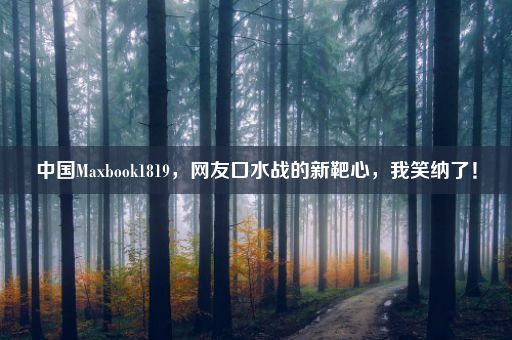 中国Maxbook1819，网友口水战的新靶心，我笑纳了！