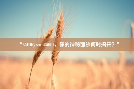 “AMDRyzen 4500U，你的神秘面纱何时揭开？”