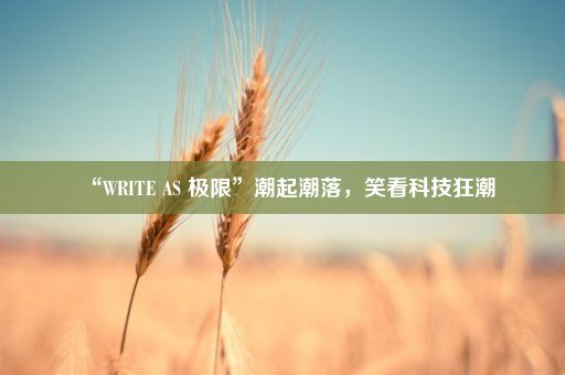 “WRITE AS 极限”潮起潮落，笑看科技狂潮