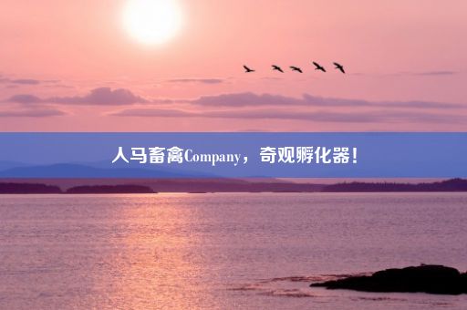 人马畜禽Company，奇观孵化器！