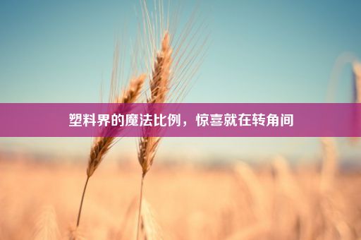 塑料界的魔法比例，惊喜就在转角间