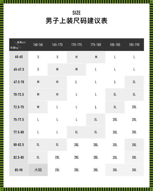 超大号风波：日本2XL码科技潮，笑谈中火辣话题