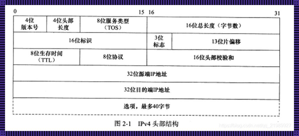 《ICMP，网络世界的“隐秘角落”》