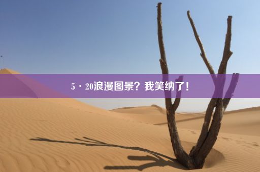 5·20浪漫图景？我笑纳了！