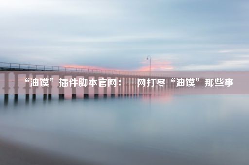 “油馍”插件脚本官网：一网打尽“油馍”那些事