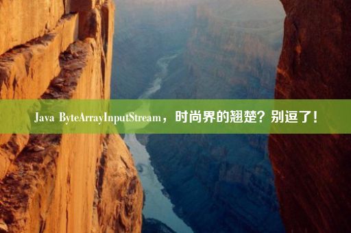 Java ByteArrayInputStream，时尚界的翘楚？别逗了！