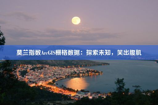 莫兰指数ArcGIS栅格数据：探索未知，笑出腹肌