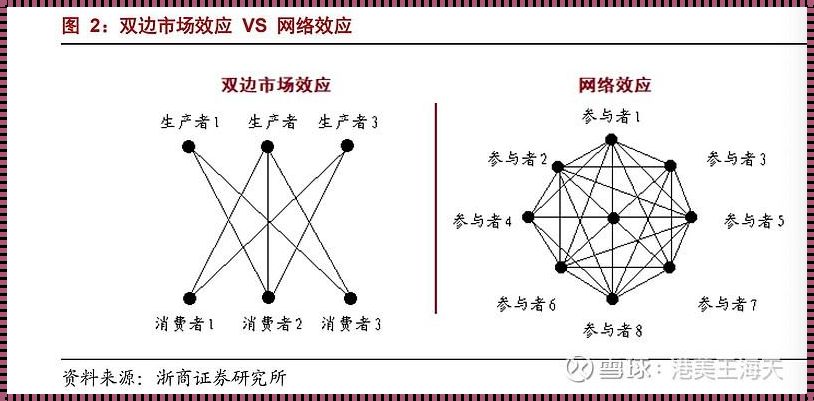 “网状魔咒”的市场狂想曲