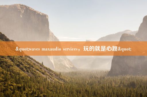 "waves maxaudio services，玩的就是心跳"