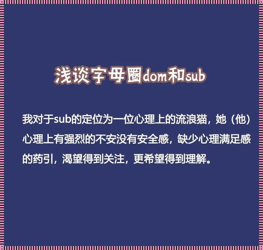 dom的戏谑法则：sub的悦读指南