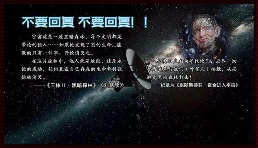 "星宇绚绘，网潮热议间：免费映画里的双关语"