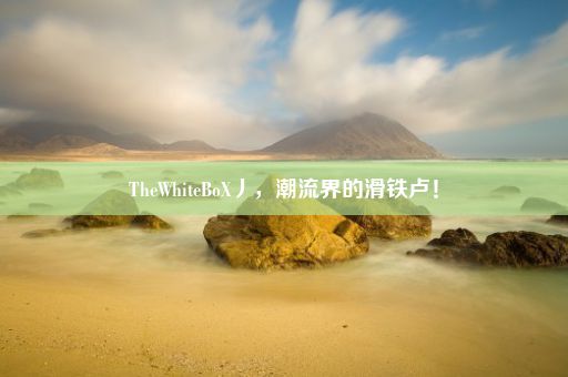 TheWhiteBoX丿，潮流界的滑铁卢！