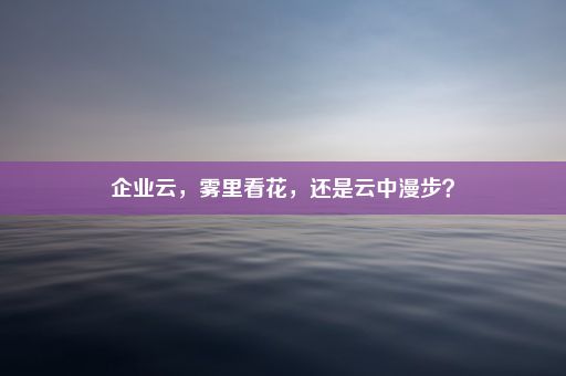 企业云，雾里看花，还是云中漫步？