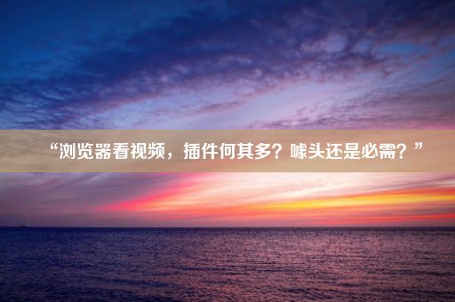 “浏览器看视频，插件何其多？噱头还是必需？”