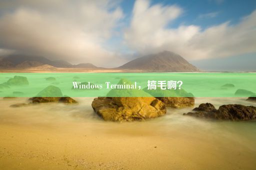 Windows Terminal，搞毛啊？