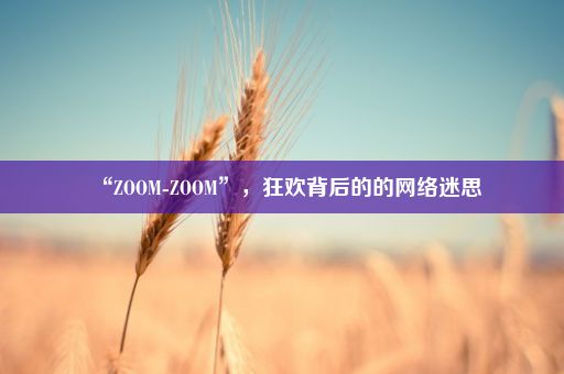 “ZOOM-ZOOM”，狂欢背后的的网络迷思