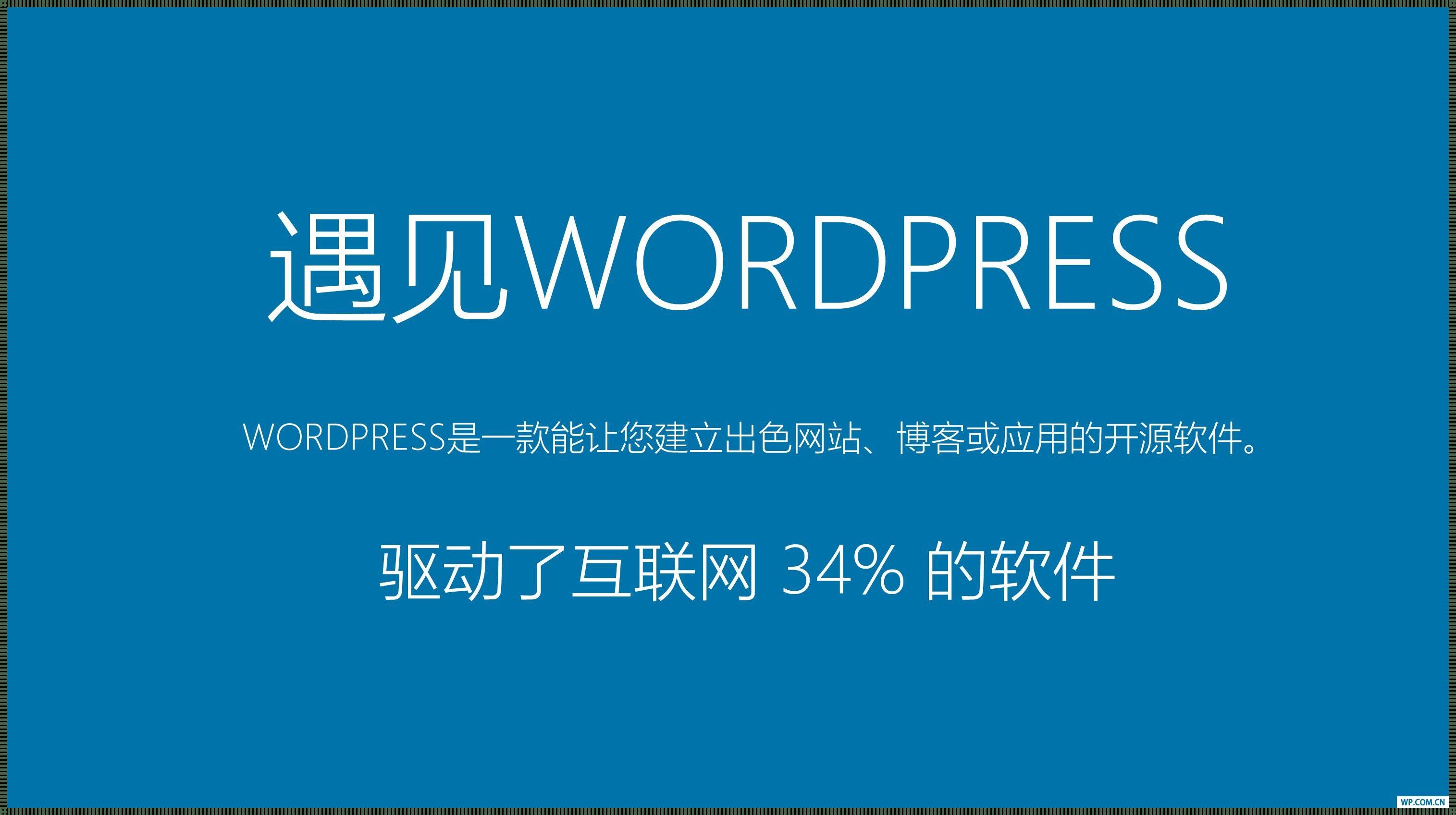 云 boluo：WordPress 成品网站的“引爆话题”之谜