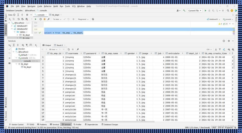 MySQL查看表中的数据：一场杠精的独角戏