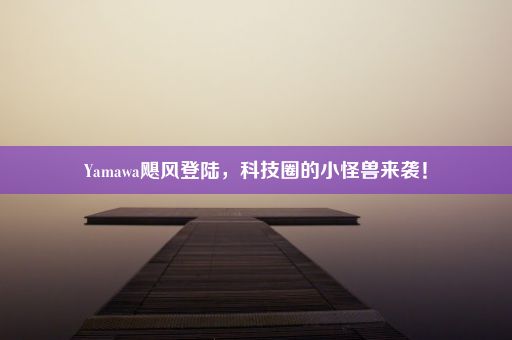 Yamawa飓风登陆，科技圈的小怪兽来袭！