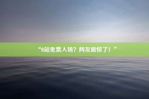 “B站免票入场？网友震惊了！”