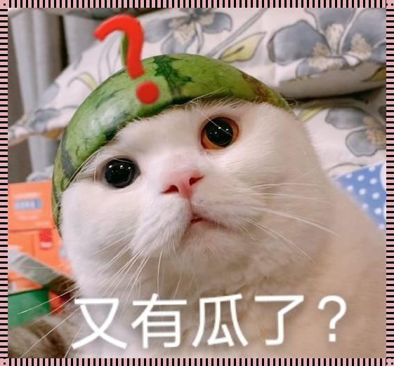 “51吃瓜？今日必吃‘胖猫’盛宴，网友热议嗨翻天！”