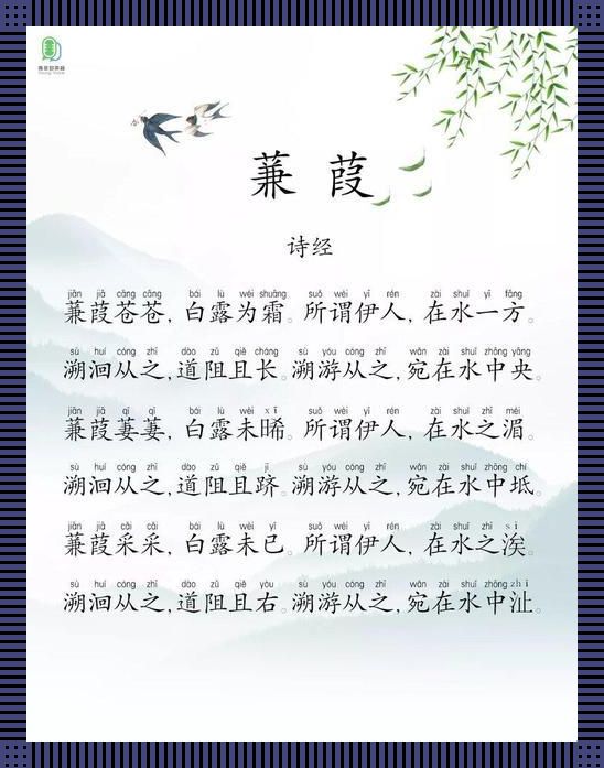 《苍苍蒹葭，科技新风向的“笑话”》