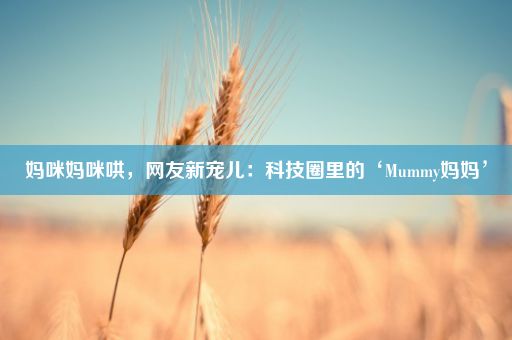 妈咪妈咪哄，网友新宠儿：科技圈里的‘Mummy妈妈’