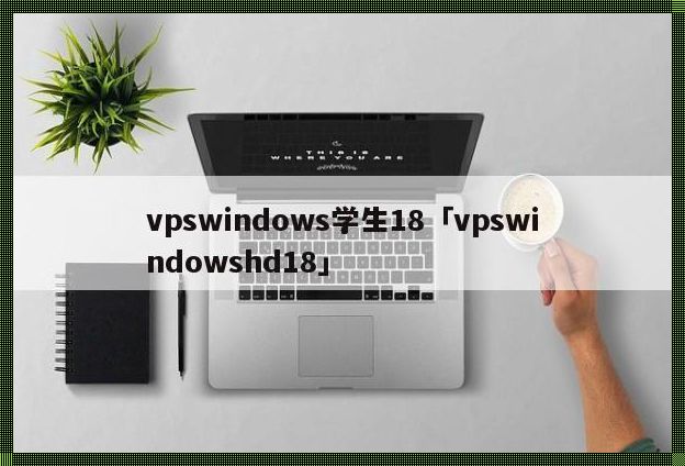 vpswindows学生18，笑谈网络新潮流