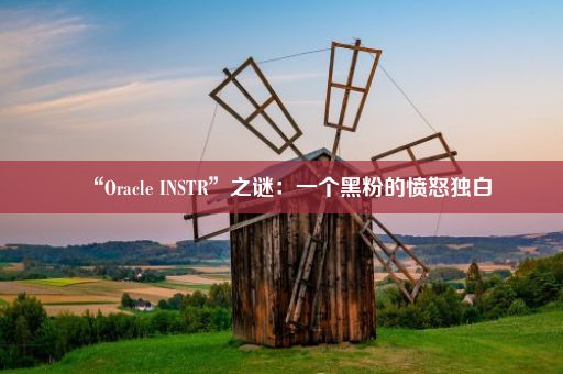 “Oracle INSTR”之谜：一个黑粉的愤怒独白