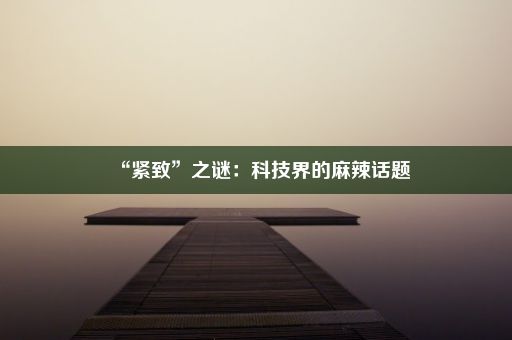 “紧致”之谜：科技界的麻辣话题