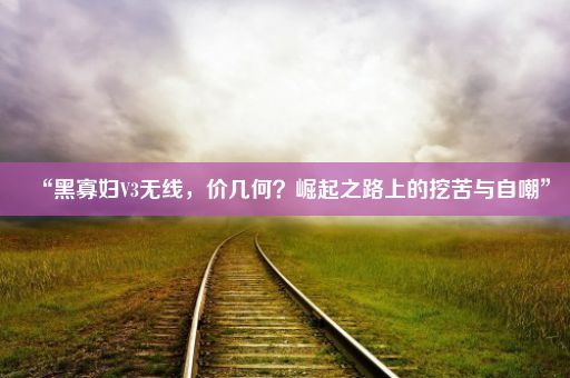 “黑寡妇V3无线，价几何？崛起之路上的挖苦与自嘲”