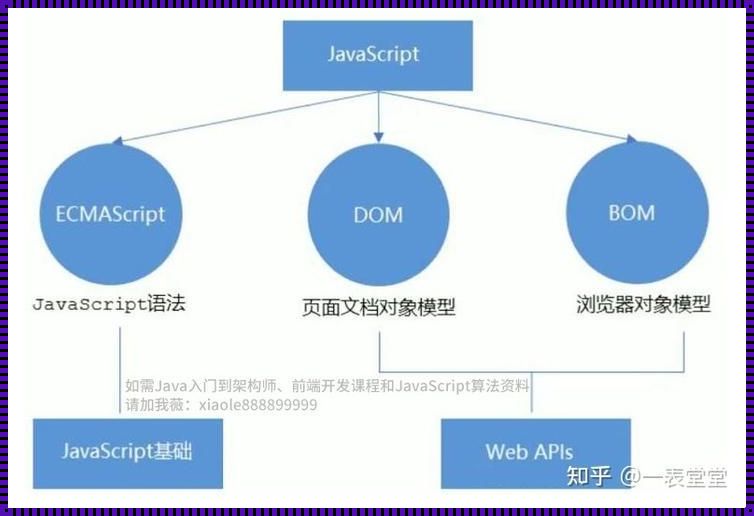 JS和Java，逗你玩儿的“双胞胎”？