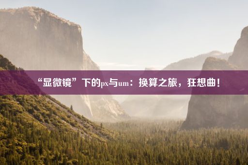 “显微镜”下的px与um：换算之旅，狂想曲！