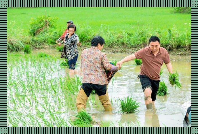 “插秧夫妻”的秘籍：搞笑版的成功手册