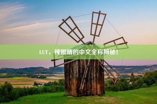 LUT，辣眼睛的中文全称揭秘！