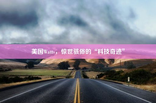 美国Watts，惊世骇俗的“科技奇迹”