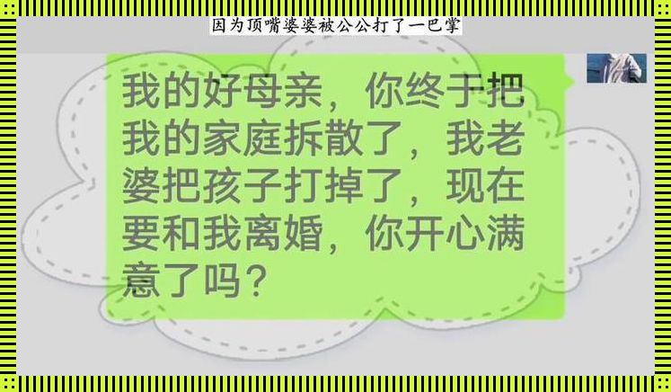 "顶嘴就扇？网民热议科技圈新潮流"