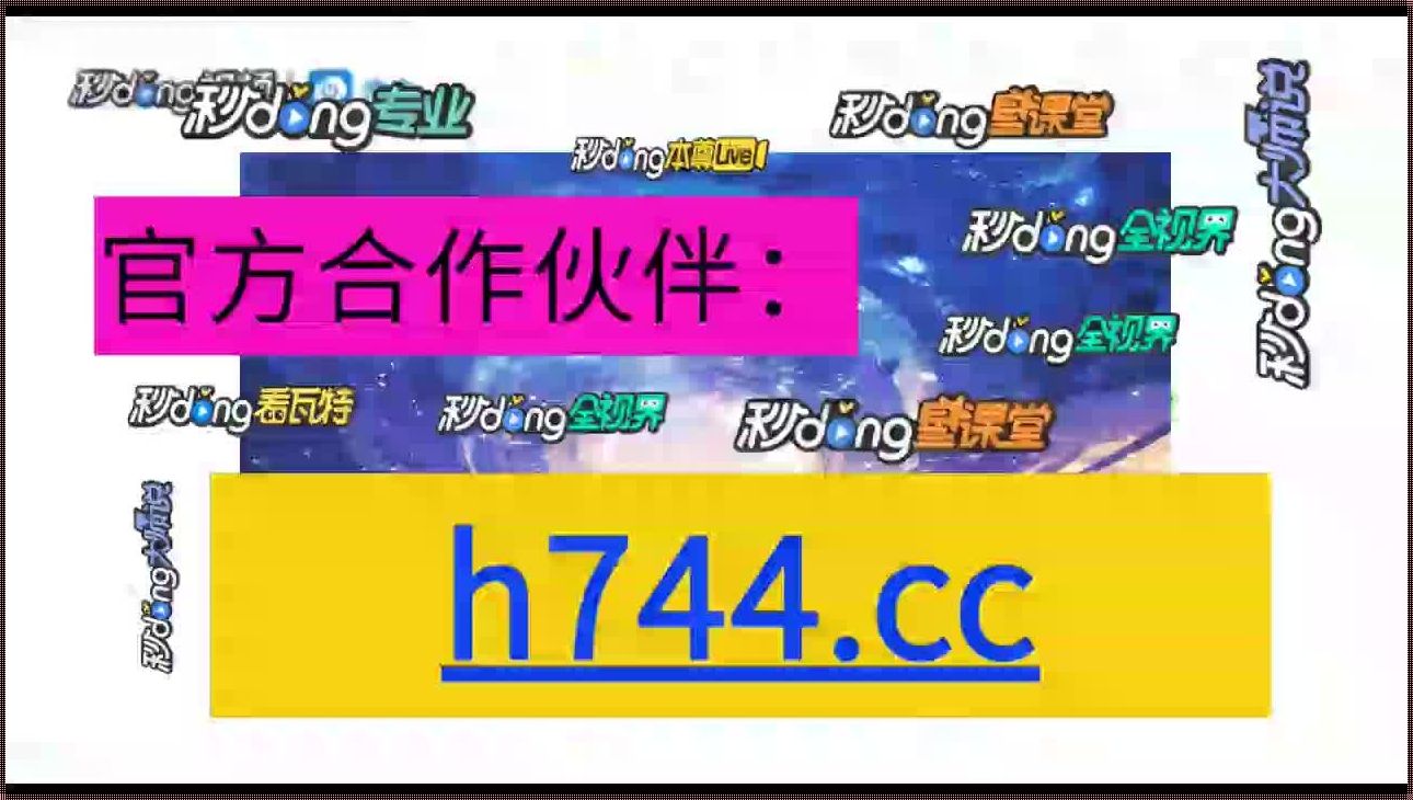 “筷猫”地域网名新潮流，揭秘取名背后的惊喜连连