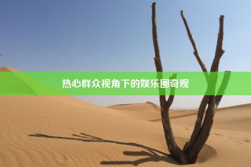 热心群众视角下的娱乐圈奇观