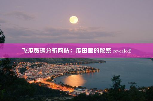 飞瓜数据分析网站：瓜田里的秘密 revealed!