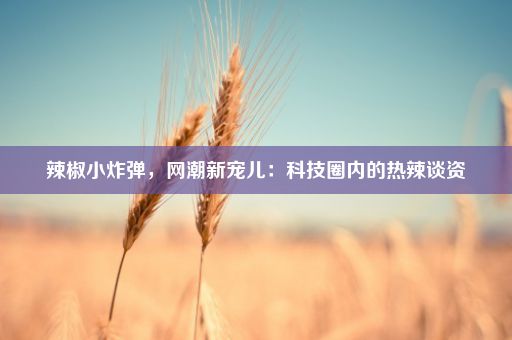 辣椒小炸弹，网潮新宠儿：科技圈内的热辣谈资