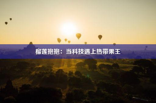 榴莲抱抱：当科技遇上热带果王