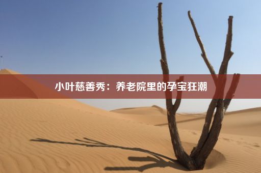 小叶慈善秀：养老院里的孕宝狂潮