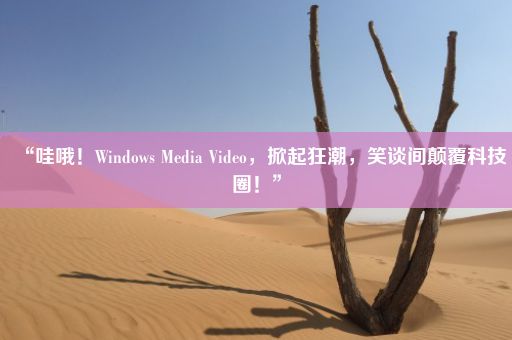 “哇哦！Windows Media Video，掀起狂潮，笑谈间颠覆科技圈！”